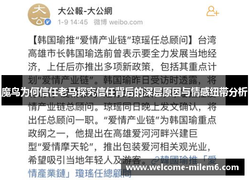 魔鸟为何信任老马探究信任背后的深层原因与情感纽带分析